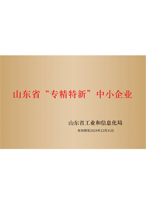 山東省“專精特新“中小企業(yè)
